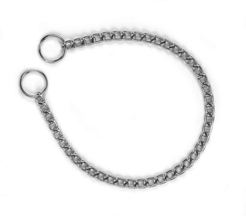 Collier chaîne pour chien