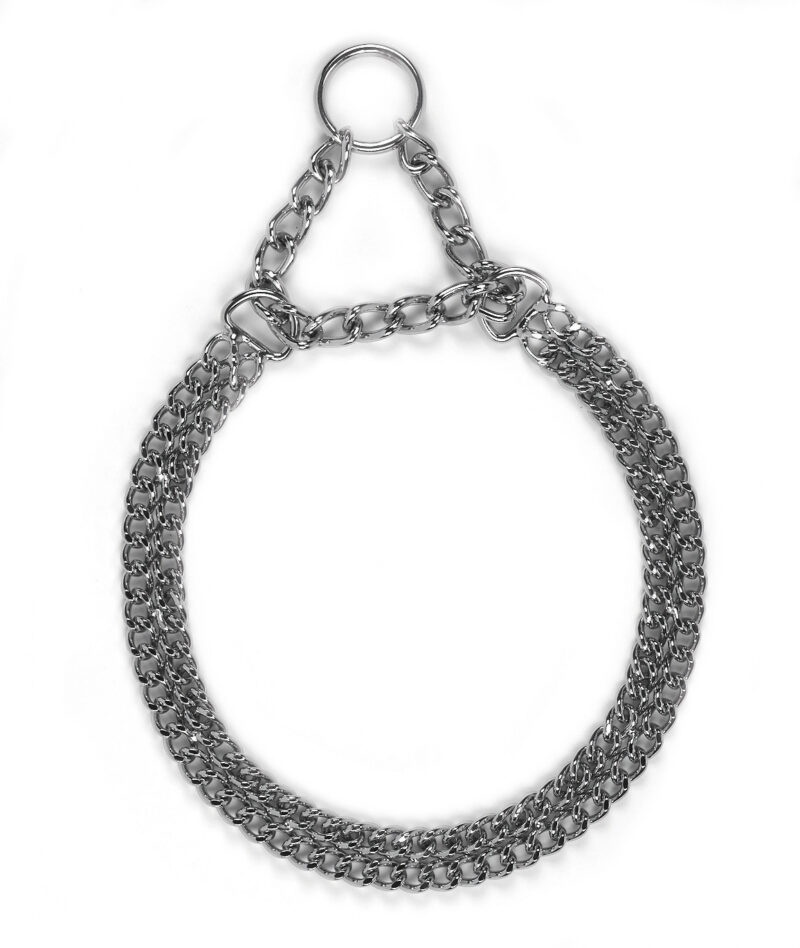 Collier étrangleur 2 rangées pour chien