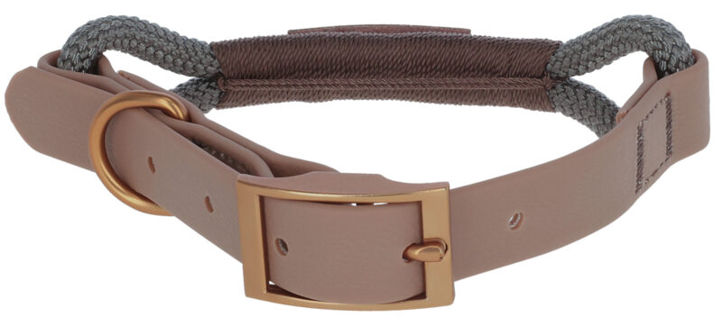 Collier pour chien Monte Carlo