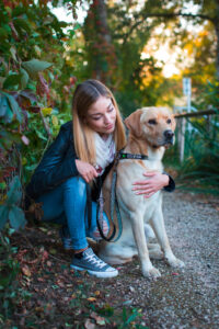 Collier pour chien Shiny Night