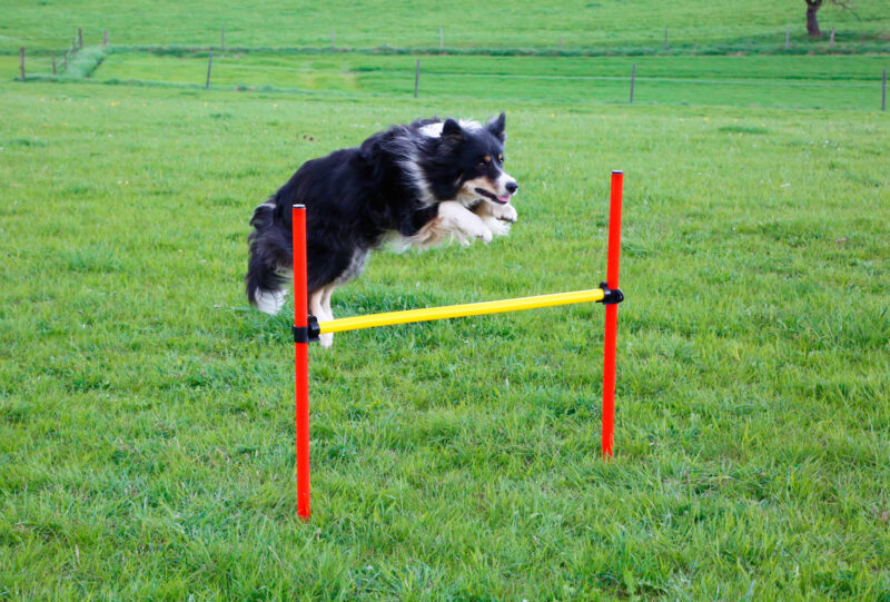 Complete Set Agility