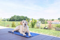 Cooling Mat Cool-Relax