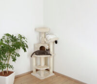 Corner Cat Tree Zirkonia