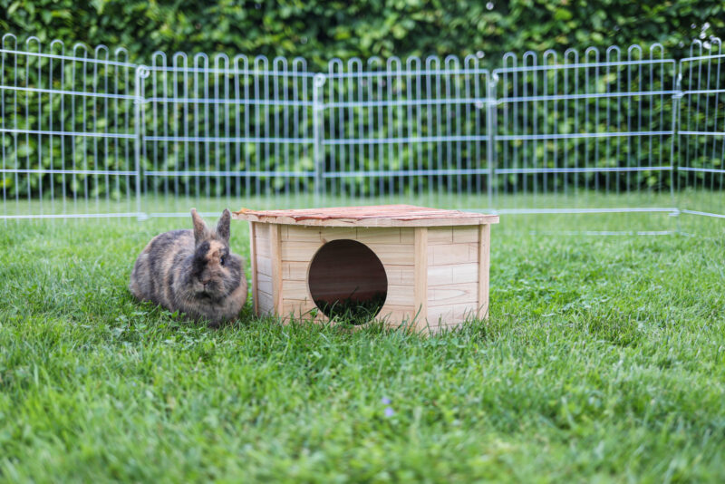 Corner House for Rodents Nature