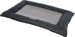 Coussin Platin Ortho