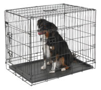 Dog Cage