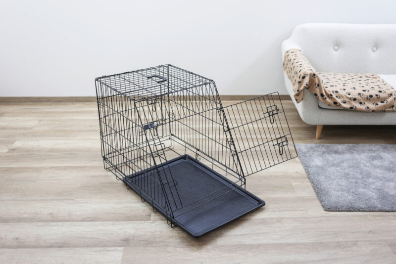 Dog Cage