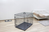 Dog Cage