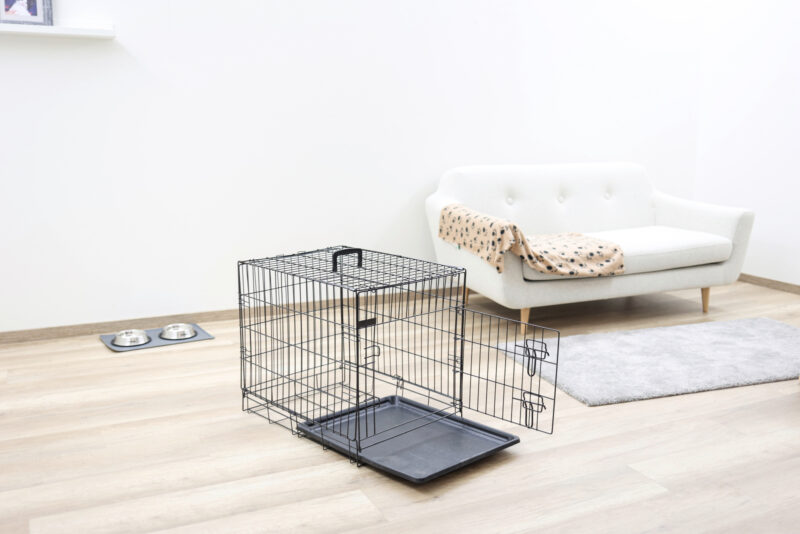 Dog Cage