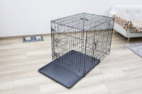 Dog Cage