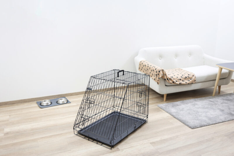 Dog Cage