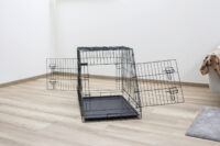 Dog Cage