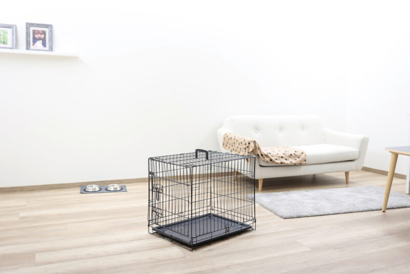 Dog Cage