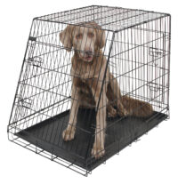 Dog Cage