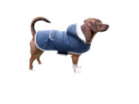 Dog Coat Teddy