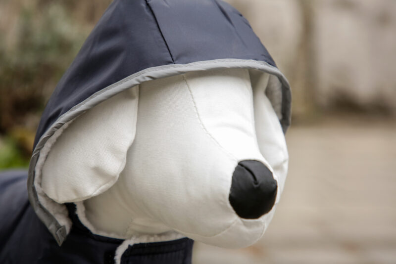 Dog Coat Teddy