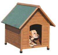 Dog house