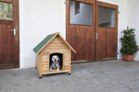 Dog house