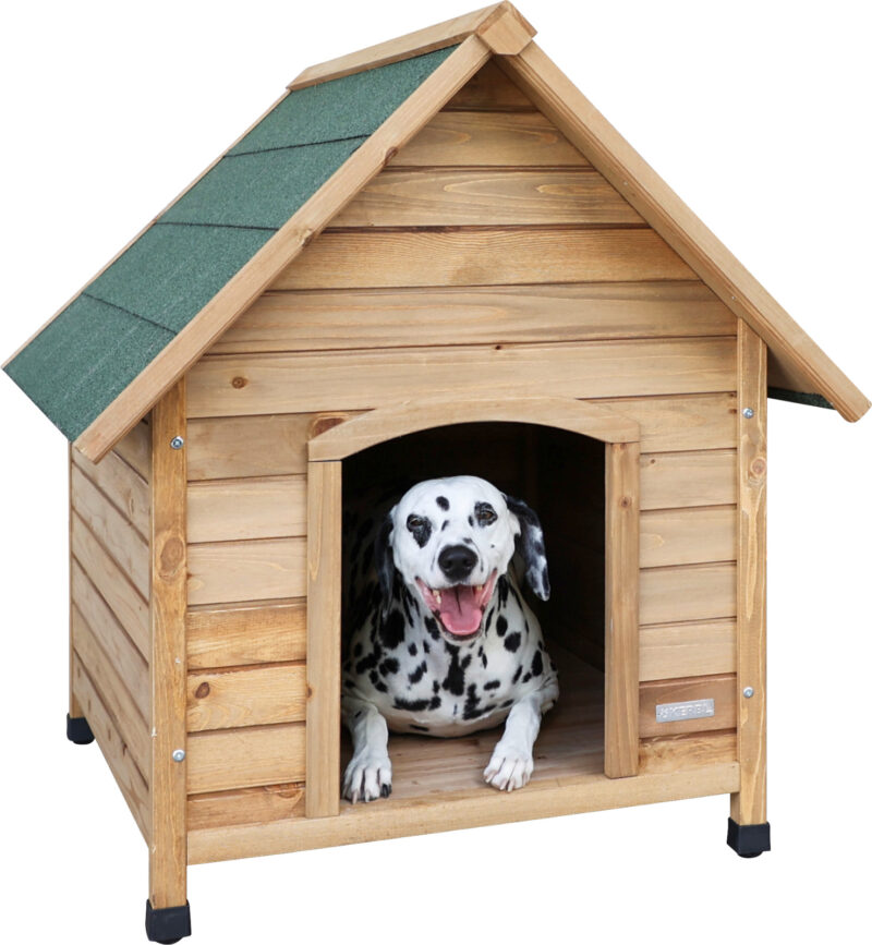 Dog house