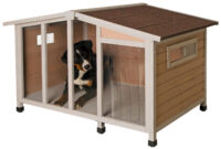 Dog house Overview