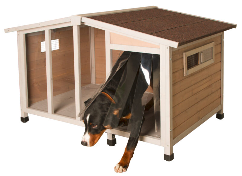 Dog house Overview