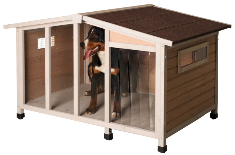 Dog house Overview