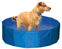 Dog Pool