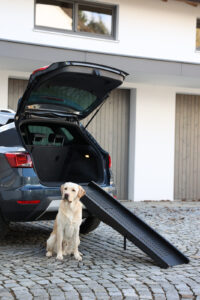 Dog Ramp