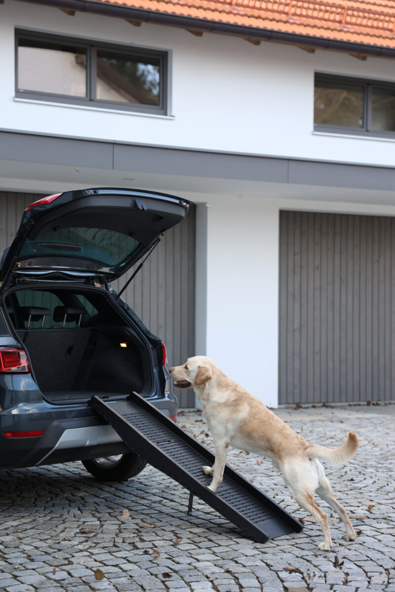 Dog Ramp