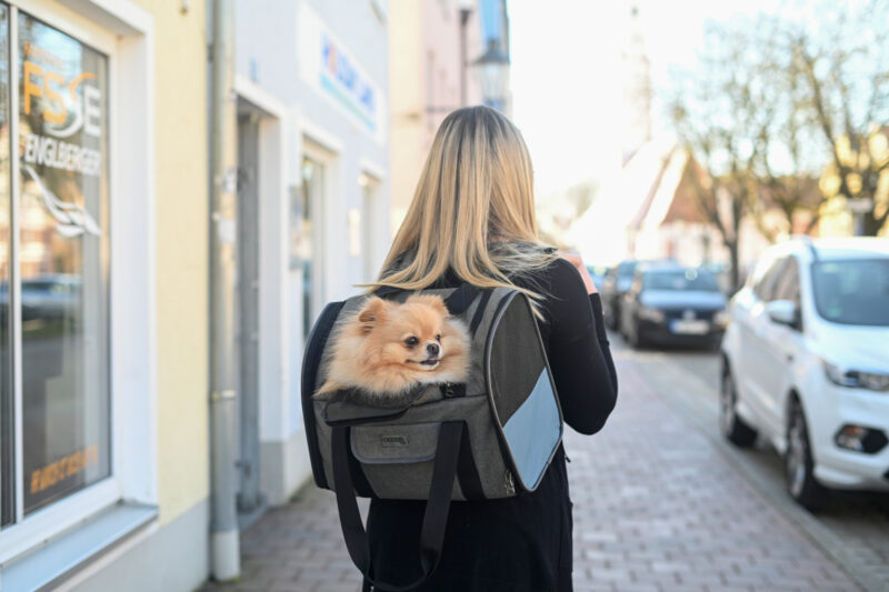 Dog Rucksack Vacation