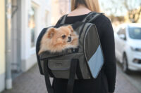 Dog Rucksack Vacation