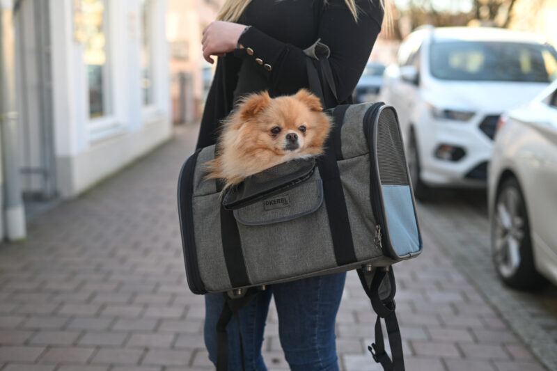 Dog Rucksack Vacation