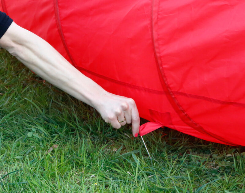 Dog Tunnel Agility