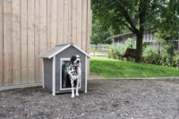 Eco Dog House Hendry