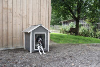 Eco Dog House Hendry