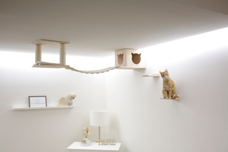 Espace de jeu pour chats Top