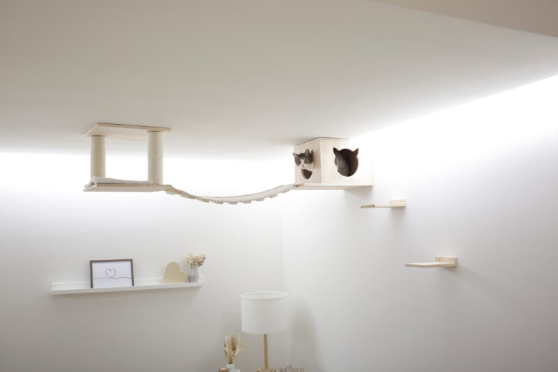 Espace de jeu pour chats Top