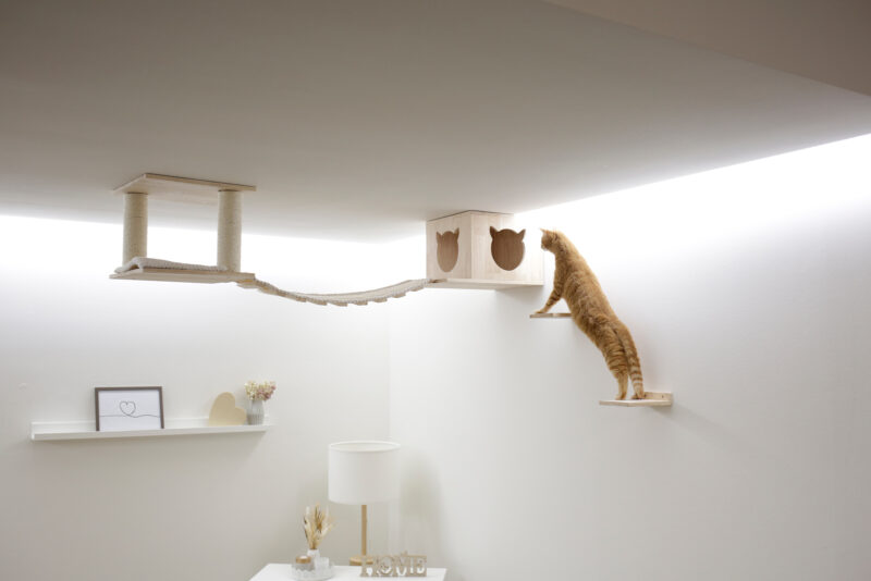 Espace de jeu pour chats Top