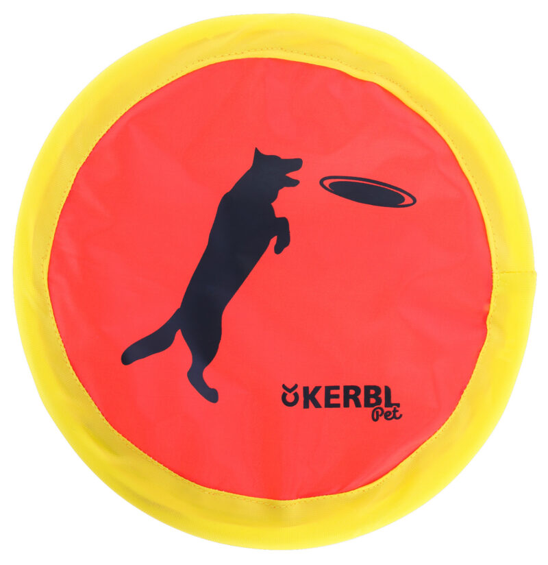 Frisbee