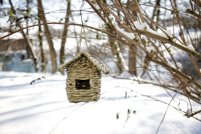 Grass House