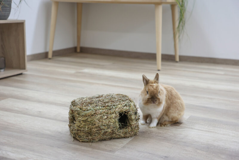 Grass house with two entrances