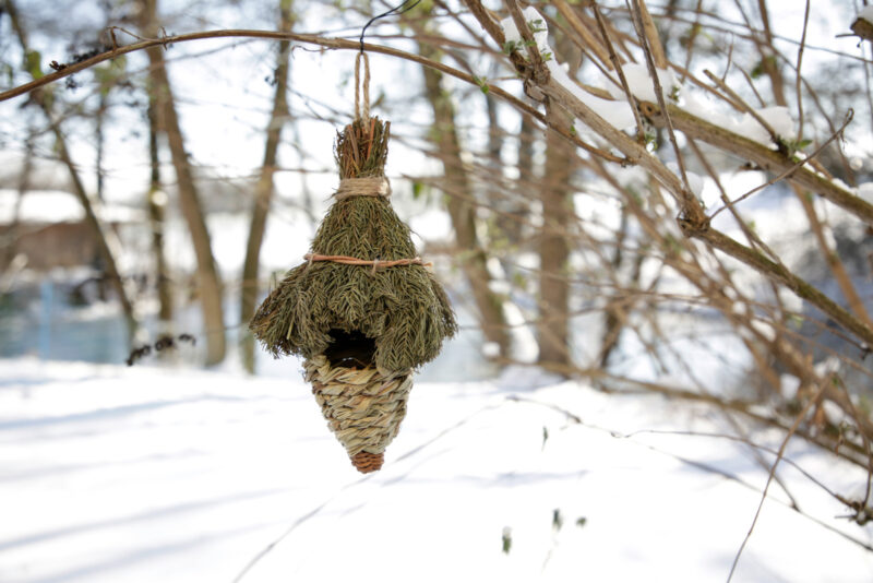 Grass Nest