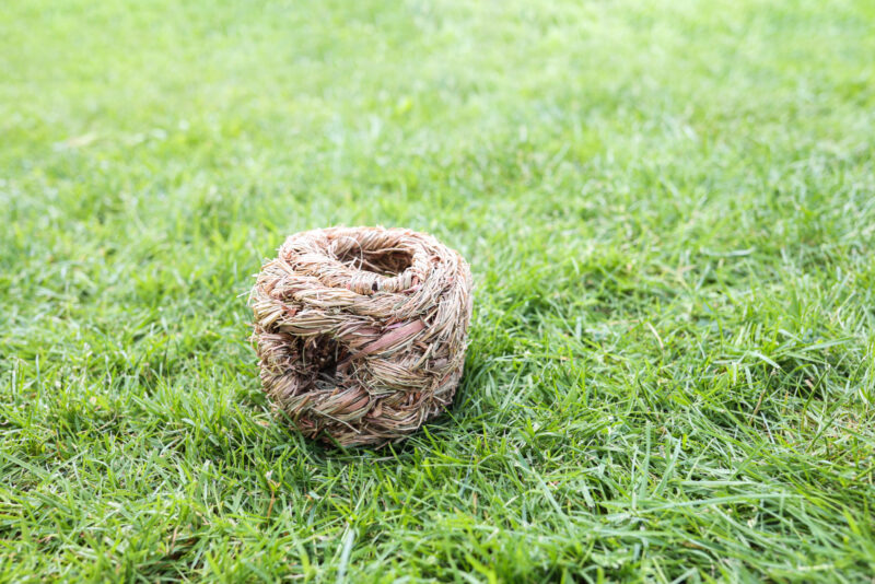 Grass Nest