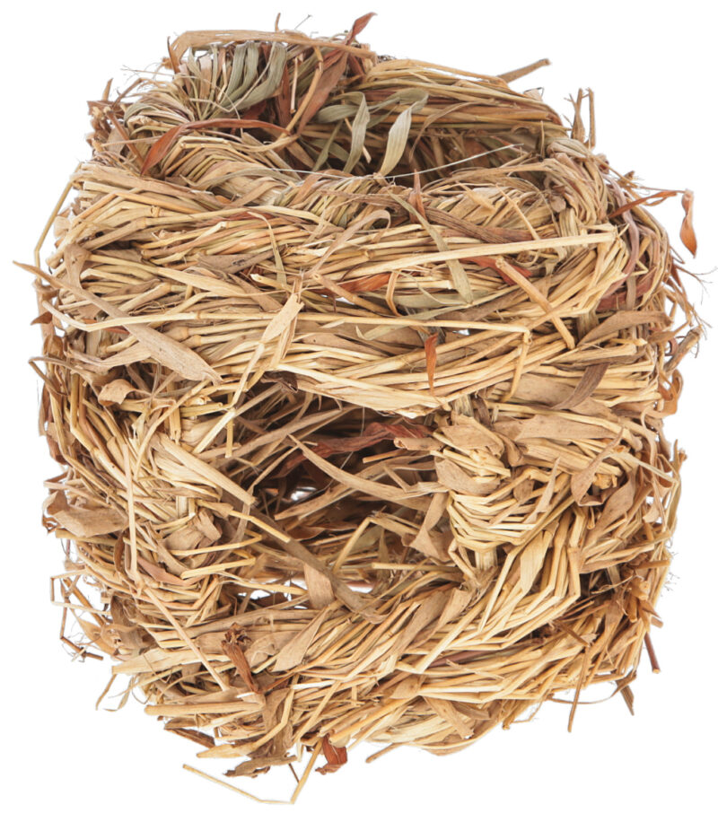 Grass Nest