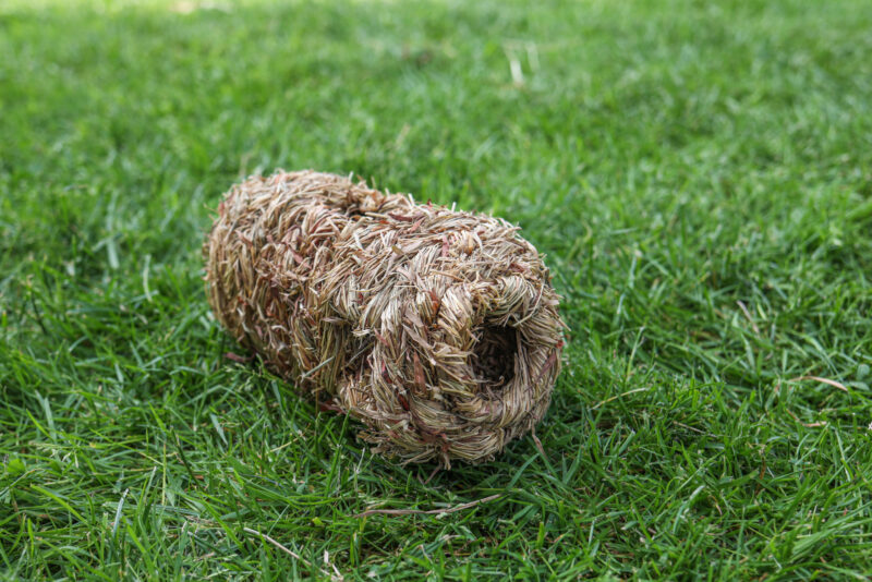 Grass Pipe with 6 Holes