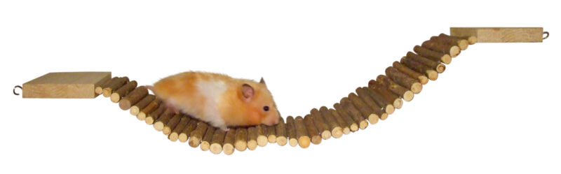 Hamster Bridge Nature