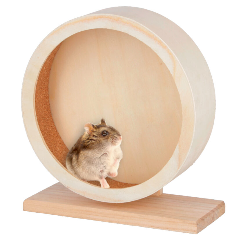 Hamster Wheel