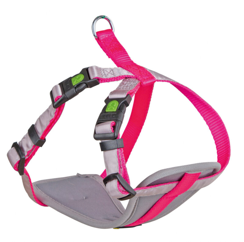 Harness for Small Dogs