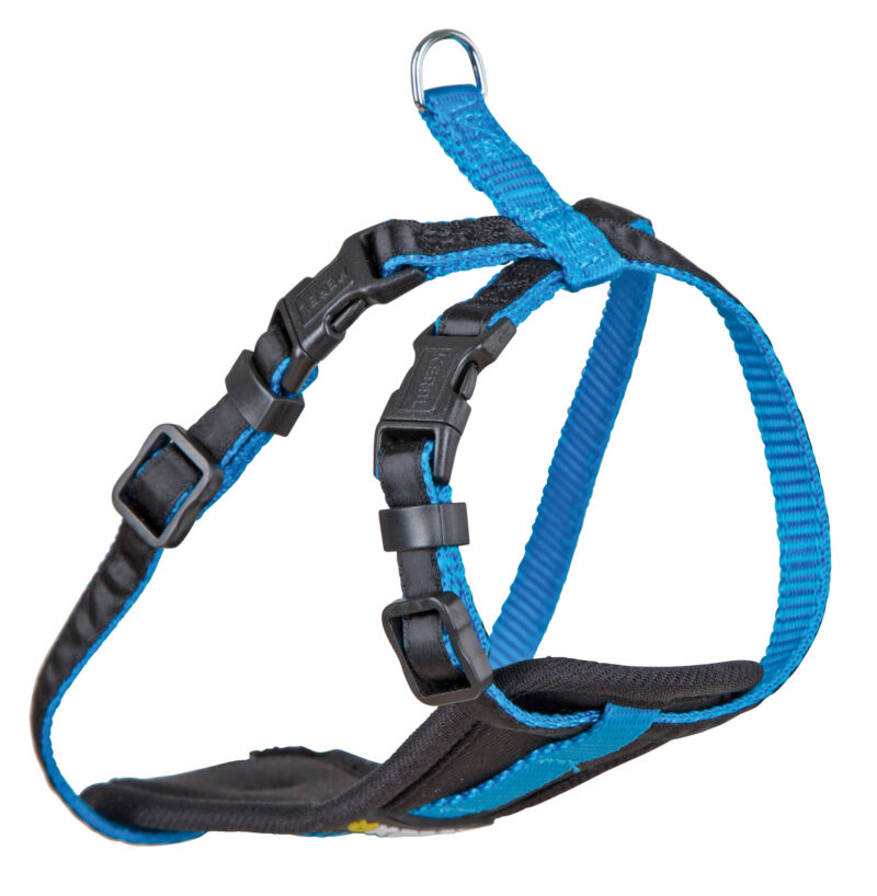 Harness for Small Dogs