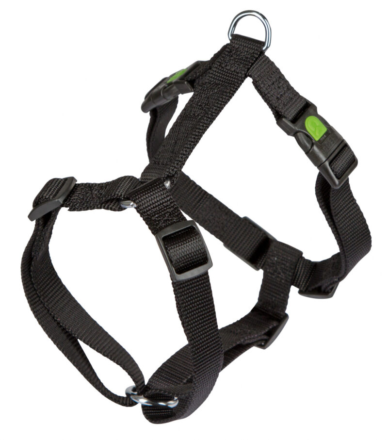 Harness Miami